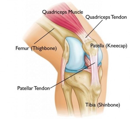 A Knee Pain 2