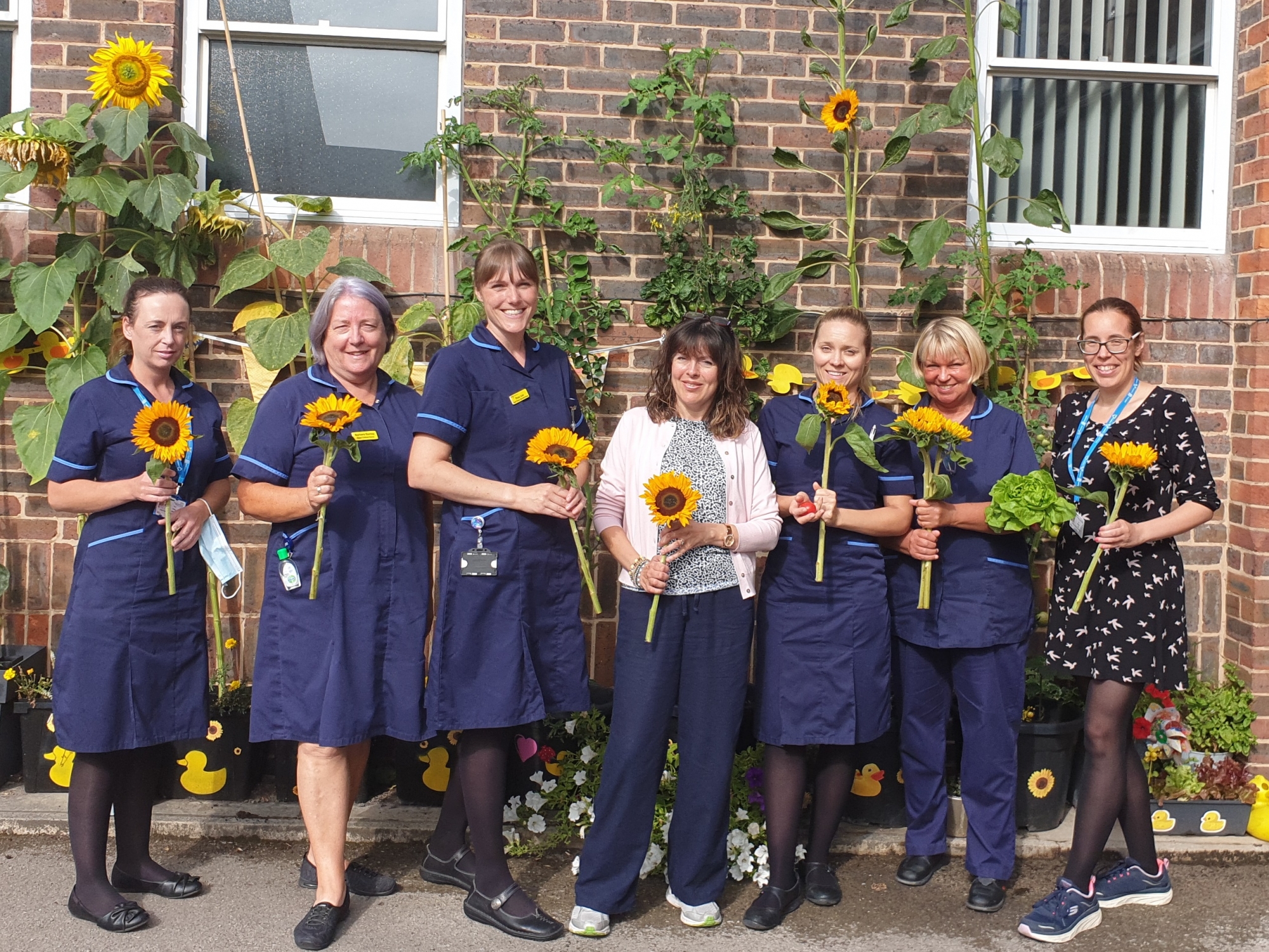 Heart Failure team from Clementhorpe Health Centre with competition sunflowers