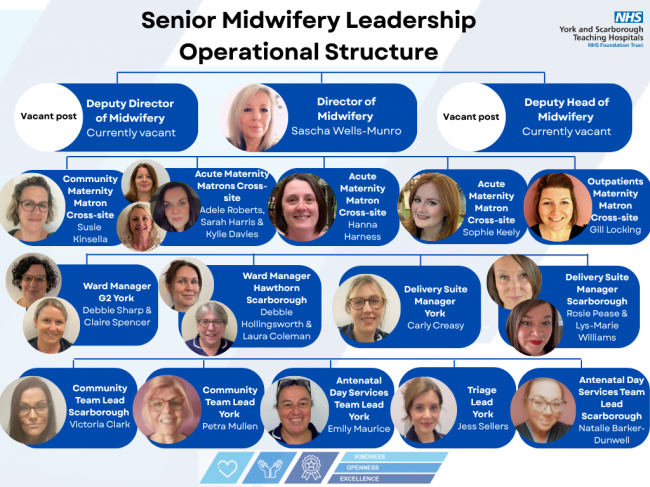 A diagram of the Senior Midwifery Leadership Operational Structure