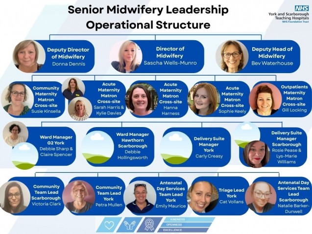 A diagram of the Senior Midwifery Leadership Operational Structure