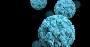 Virus cells symbolising norovirus.