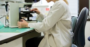 Laboratory scientist using a microscope to examine samples.