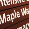 Maple ward