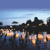 Charity reflect and remember - floating lights on a lake at dusk
