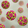 Abstract image of germs to represent norovirus.