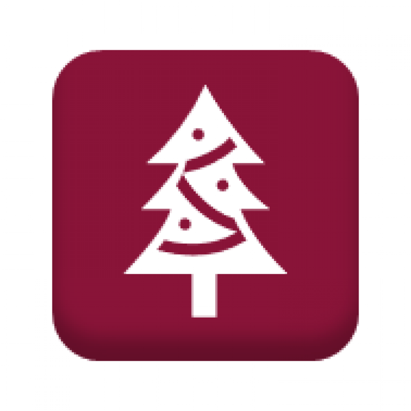 Christ - xmas events