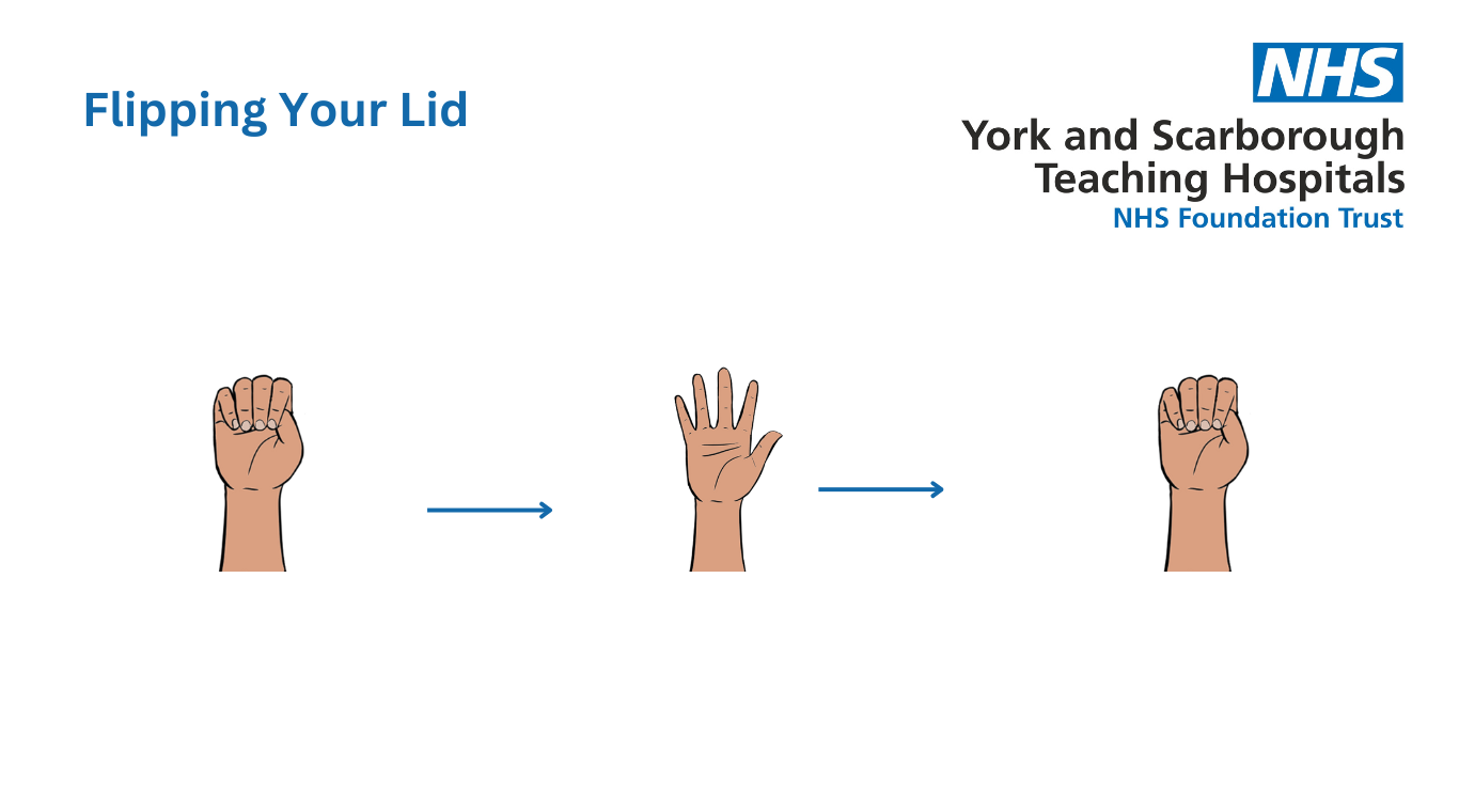 Diagram outlining the 'flipping your lid' theory.