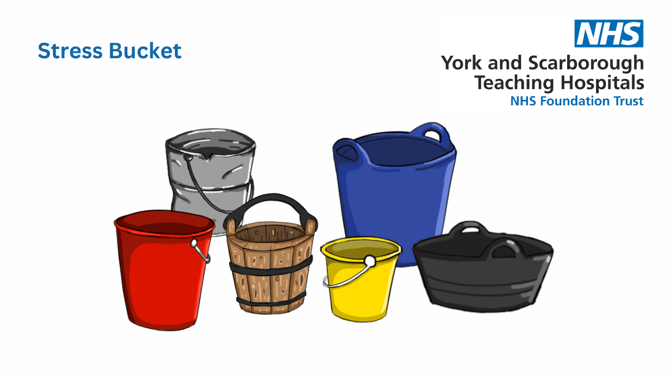 Illustration of various types of bucket. All the buckets are empty.